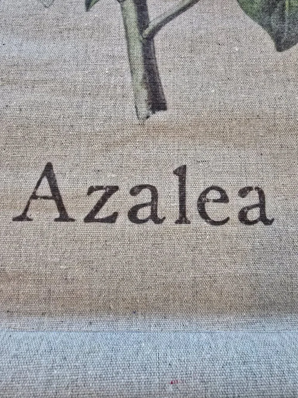 Habitat linen azalea